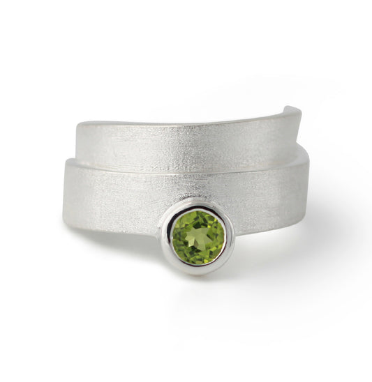 RS1606P-Kopie
