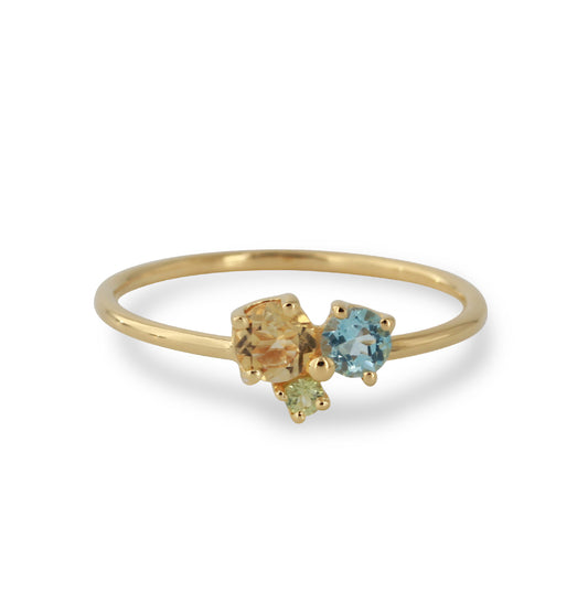 RS1648CT-freigestellt